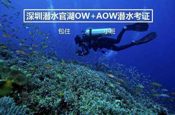 冒险家工会